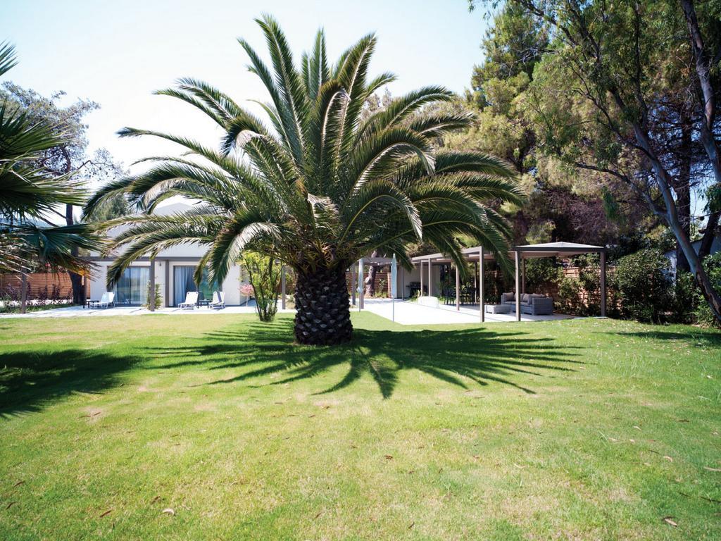 Tiamo Secrets - Palm Garden Villa Vourvourou Buitenkant foto